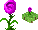 botania:specialflower Rosa Arcana Тайная роза