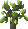 greenSkyrootSapling Green Skyroot Sapling Саженец Зеленого Небесного дерева